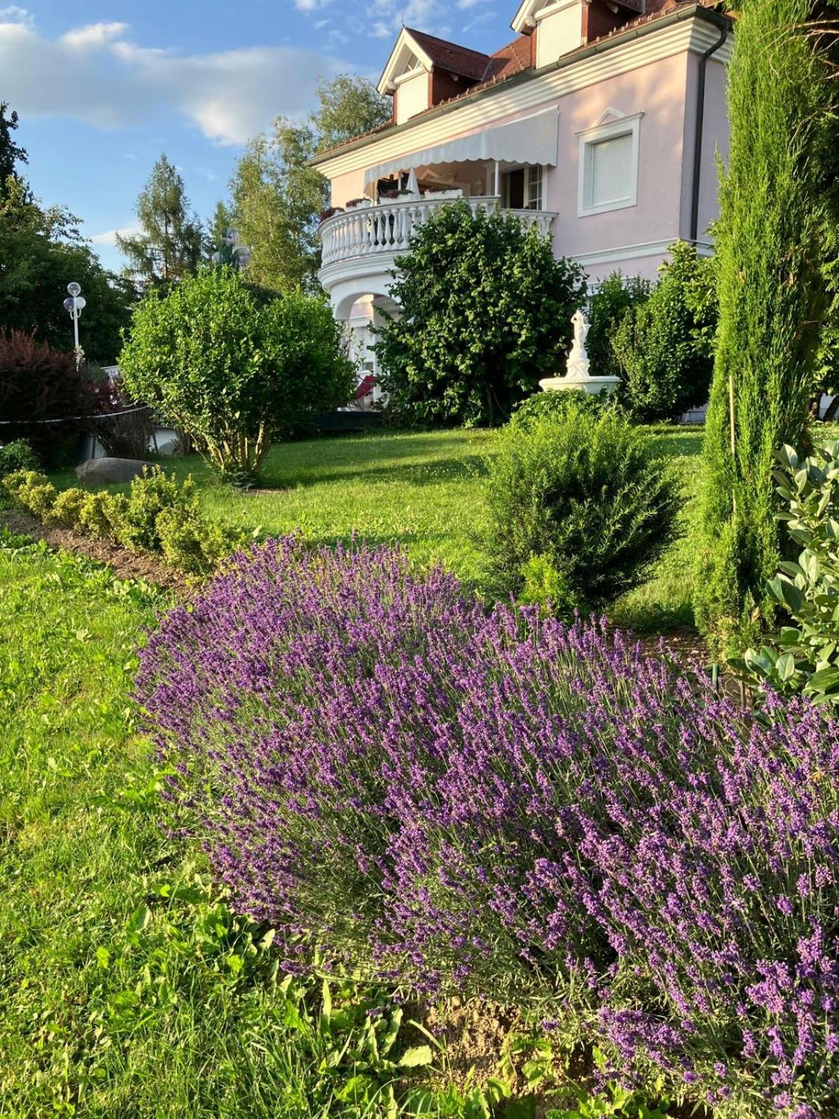 Villa Rose 圣卡荐 外观 照片